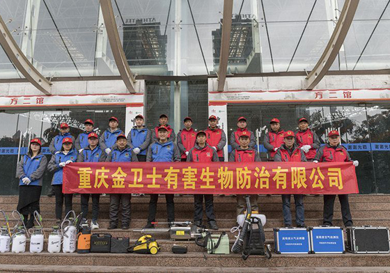 散白蟻侵害現(xiàn)代建筑，如何有效進行白蟻防治處理