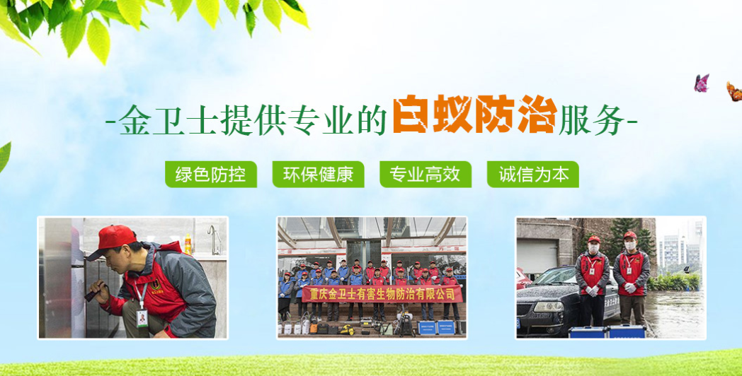 丑陋的蟑螂看起來很可怕。如何解決這種情況？