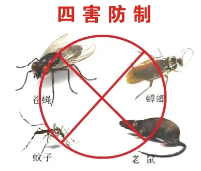 床墊易滋生吸血臭蟲，怎樣預(yù)防呢？